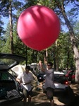 Balloon