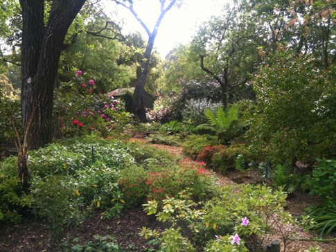 Path from the back porch to landscaped area throuh, well, another landscaped area!