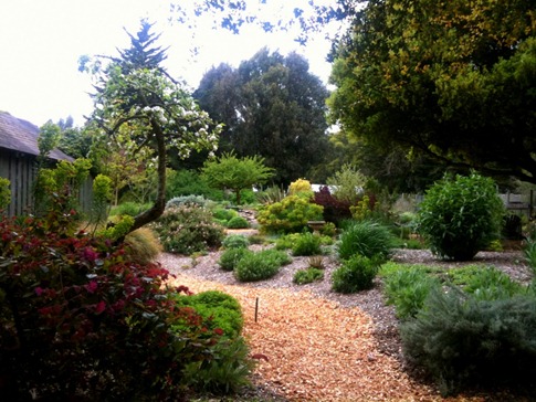 Path out to landscaped area.